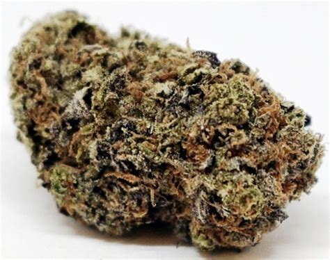 Versace Marijuana Strain Information & Reviews .